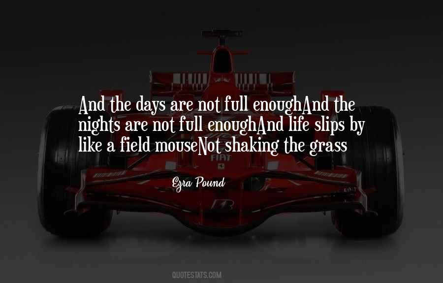 Stommel Law Quotes #227559