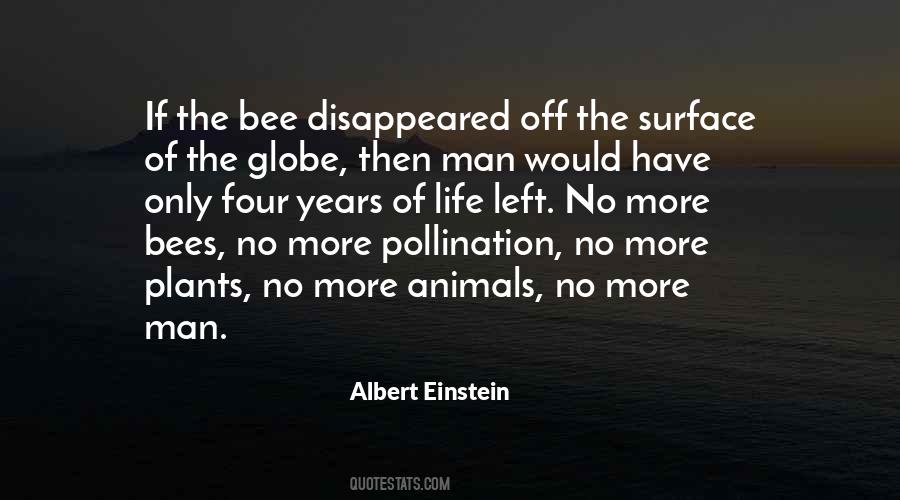 Attributed To Einstein No Source Quotes #257354