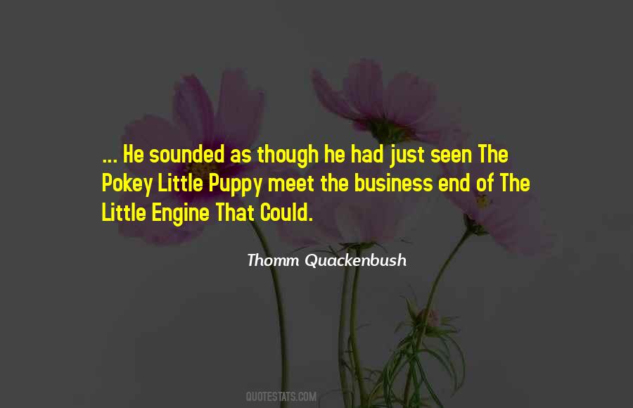 Baiocchi Troutfitters Quotes #833199