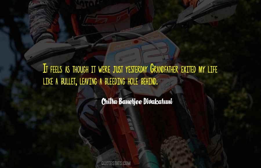 Nshama Portal Quotes #572284