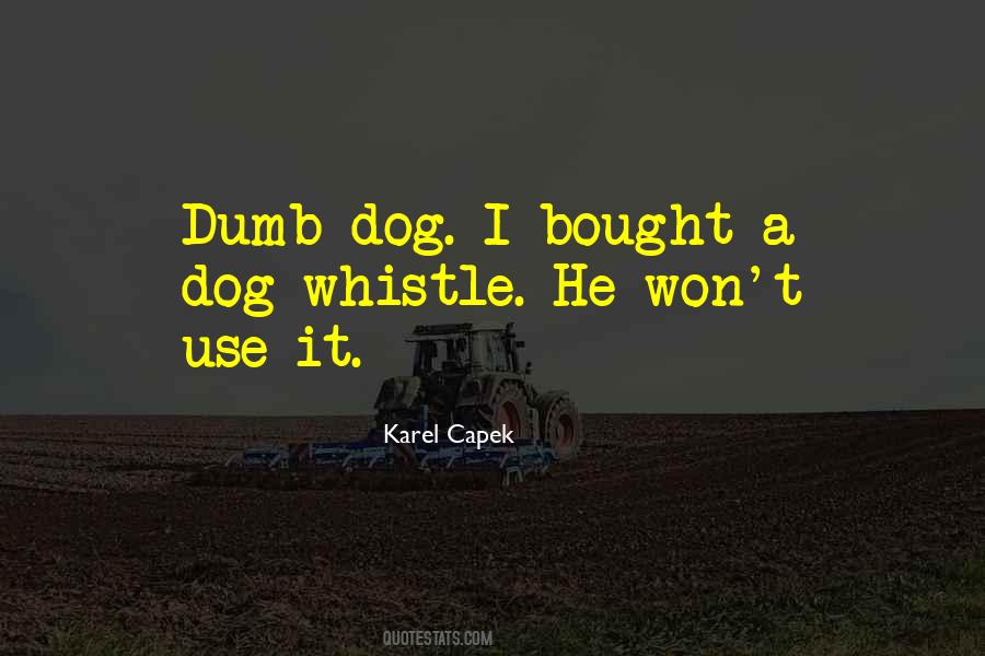 Dog Humor Quotes #672390