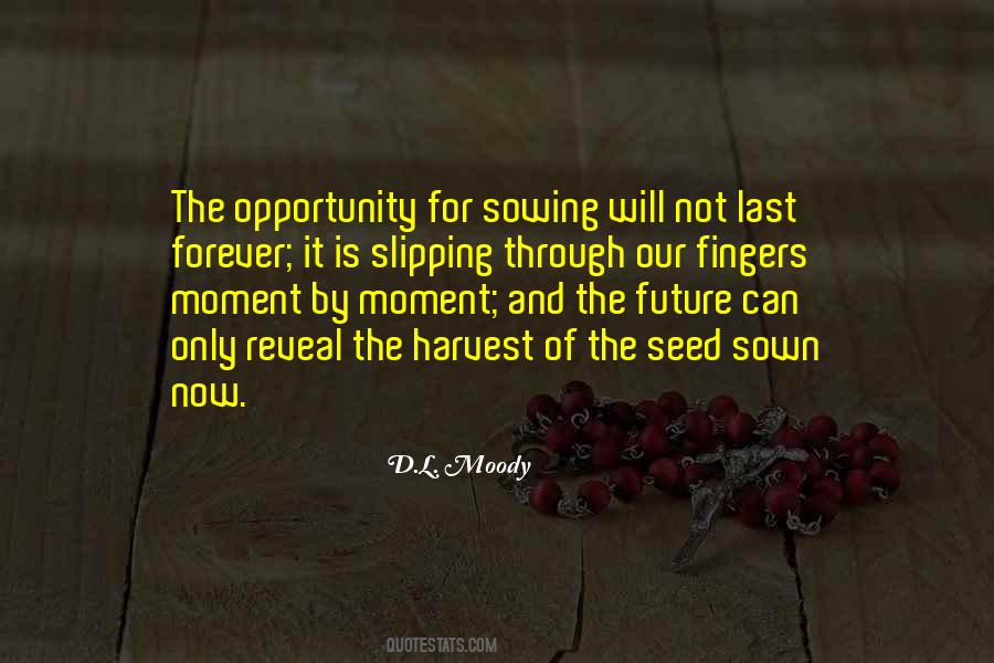 Moment By Moment Quotes #1447526