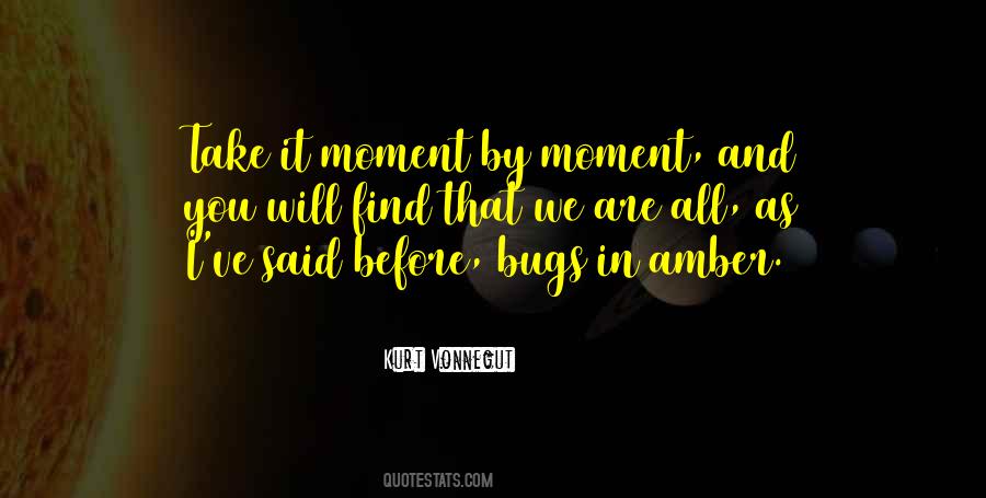 Moment By Moment Quotes #1464938