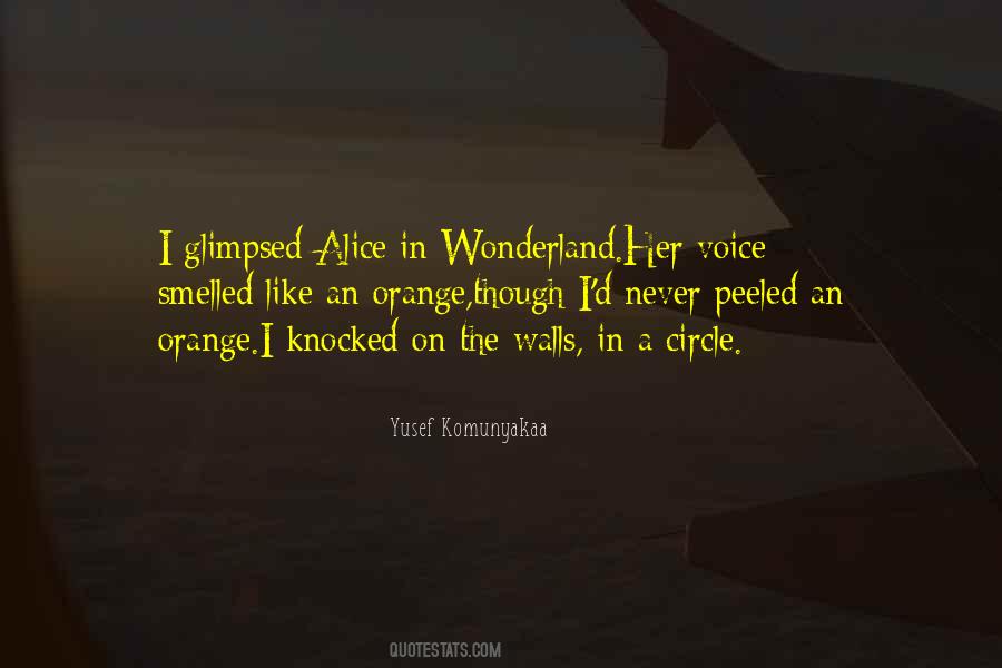 Alice In Wonderland Alice Quotes #398288