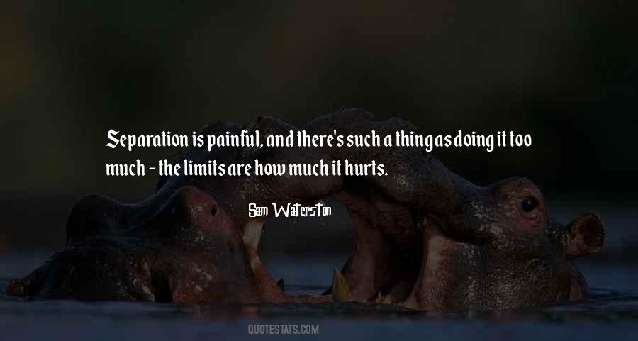 Hurt Too Much Quotes #1363320