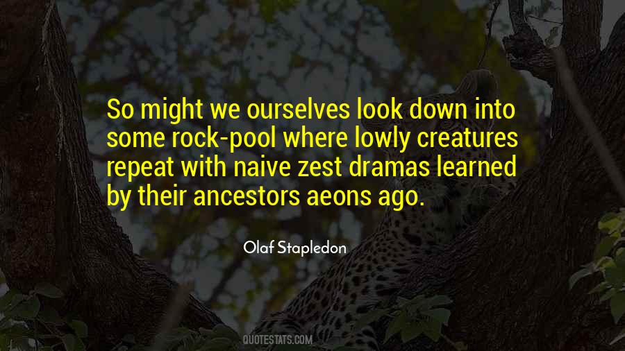 Mladja Djordjevic Quotes #979668