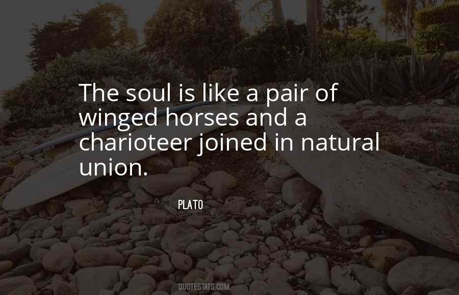 Chadwyck Windsor Quotes #1452824