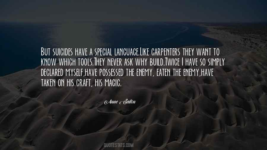Pijamasurf Geometria Quotes #950090