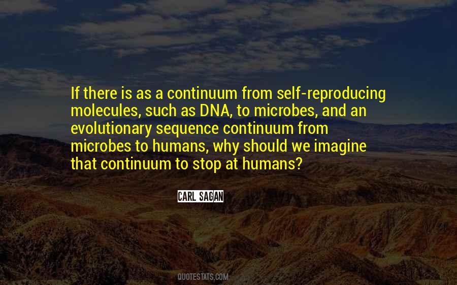 Sequence From Quotes #10831
