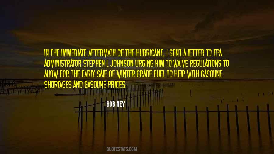 The Hurricane Quotes #1603375