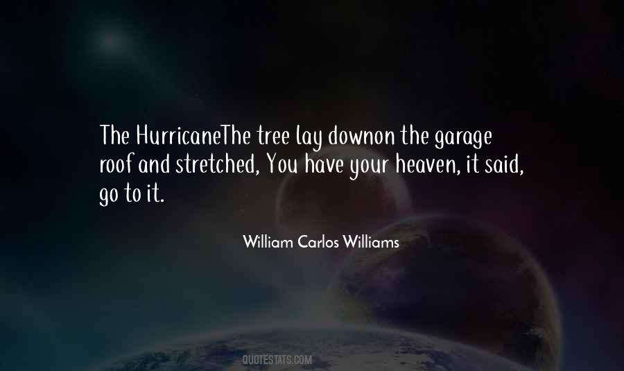 The Hurricane Quotes #1608784