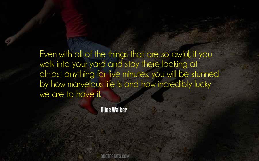Kennels Near Quotes #636090