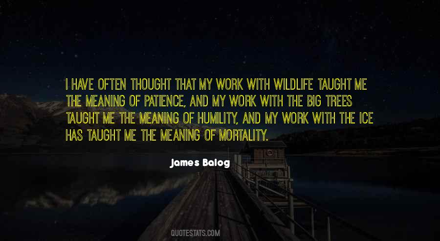 Marabou Jigs Quotes #280887