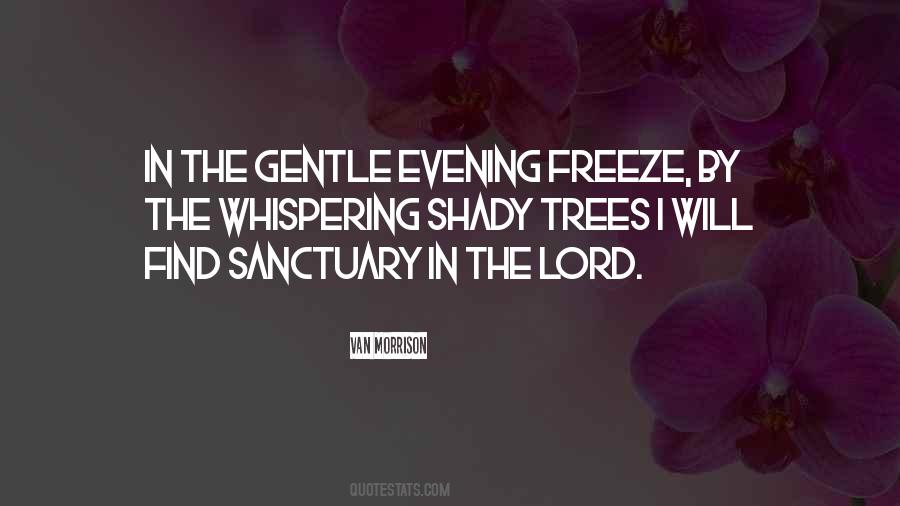 Whispering Trees Quotes #525946