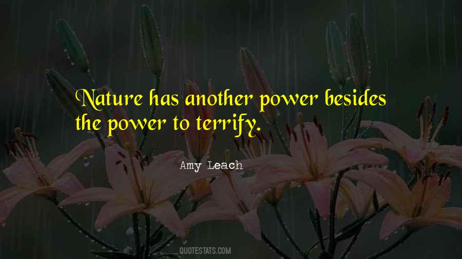 1113 Angel Quotes #597249