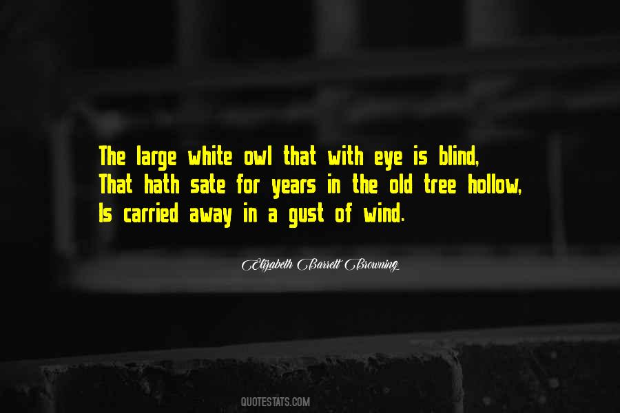 Dhikr Related Quotes #238491