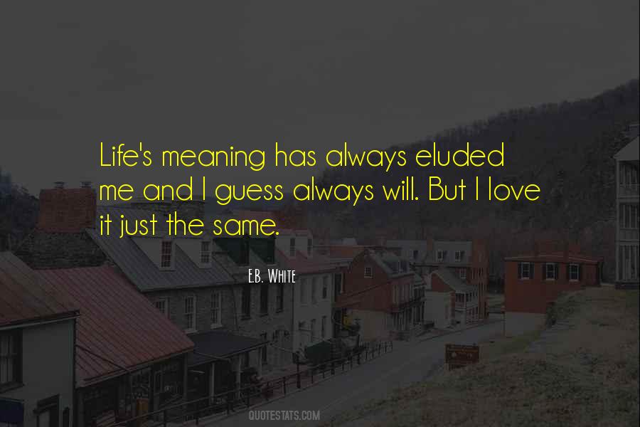 Life S Meaning Quotes #887366