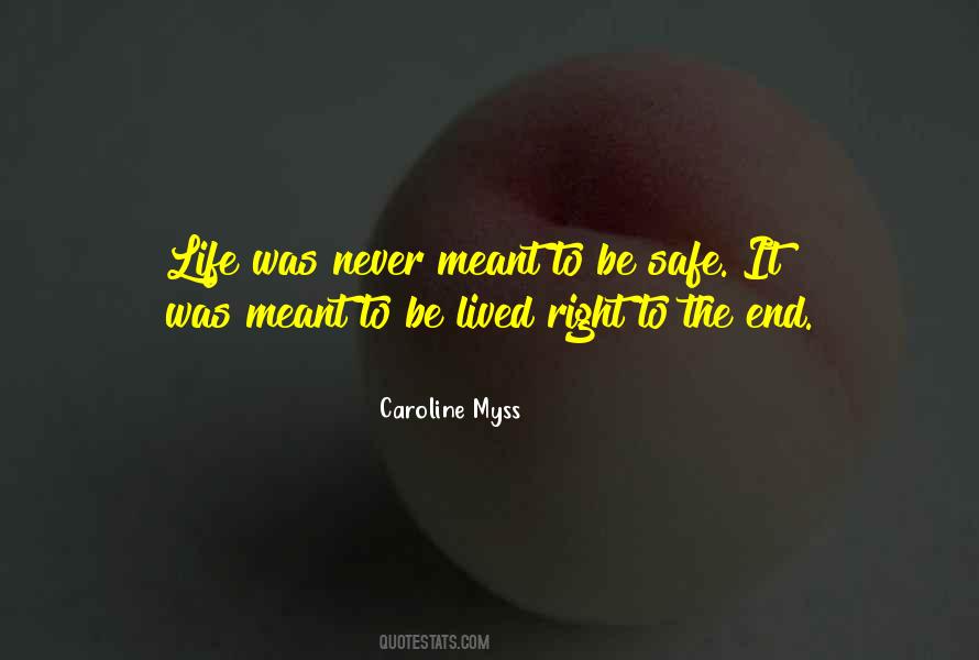 Life Is Meant To Be Lived Quotes #753520
