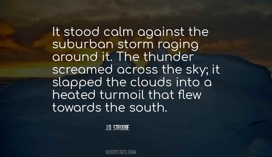 Raging Storm Quotes #1867230