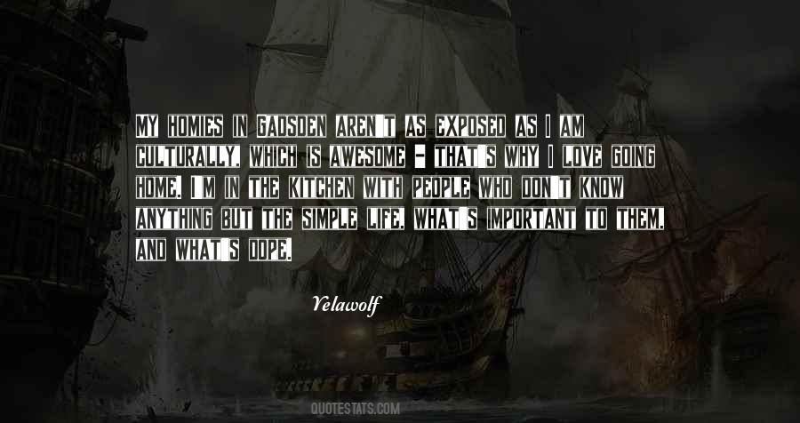 Danyella De Meaux Quotes #1483062