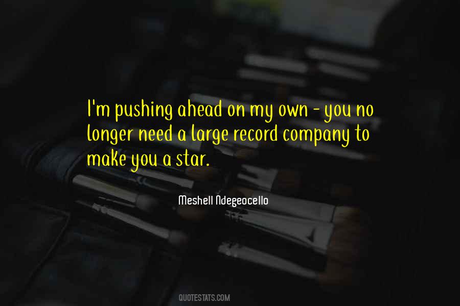 Ndegeocello Meshell Quotes #1708317
