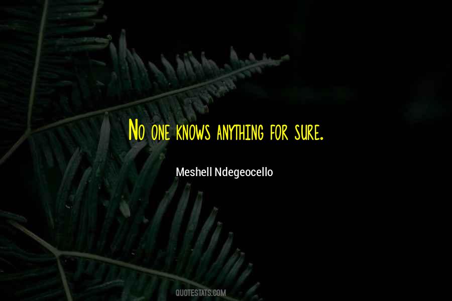 Ndegeocello Meshell Quotes #1836845
