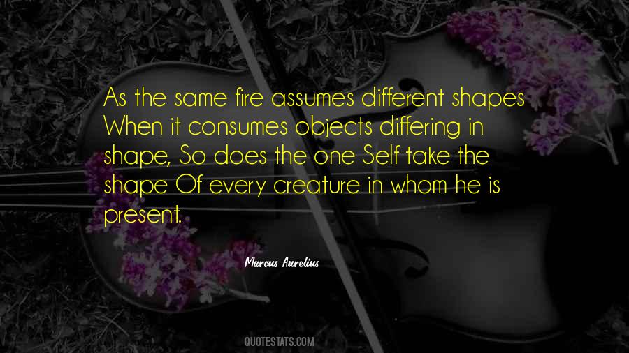 Diffenderfer Origin Quotes #784771