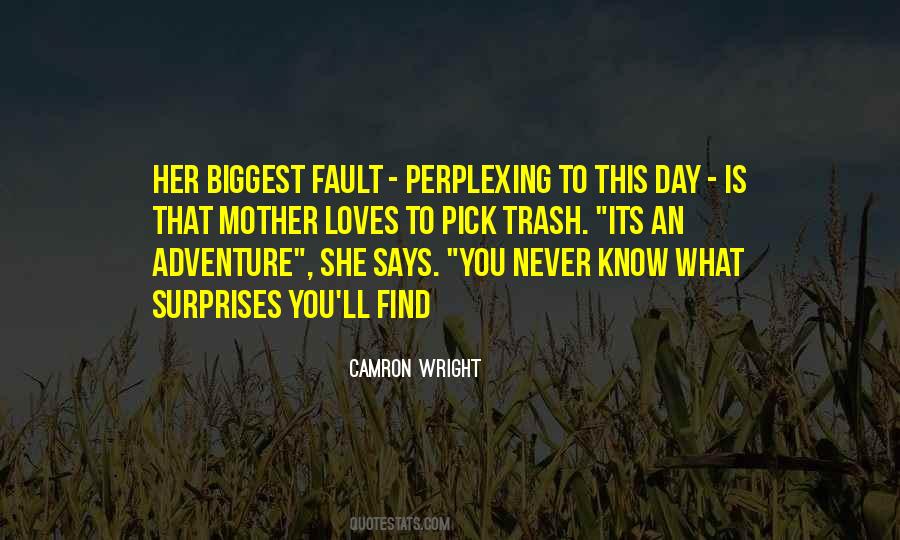 Never Their Fault Quotes #241736