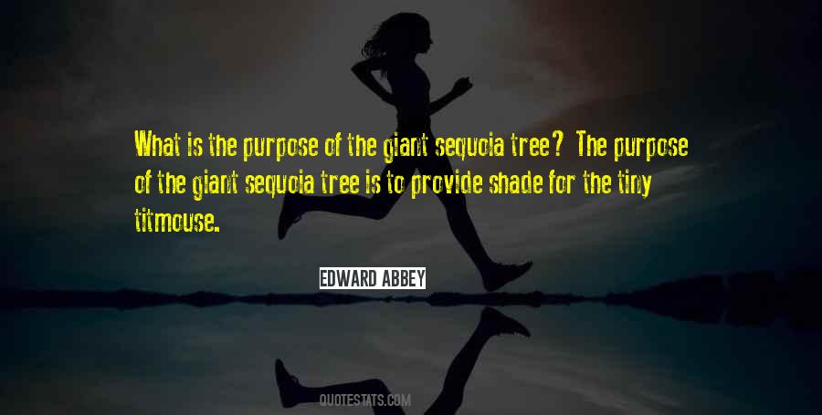 Zanouti Quotes #115834