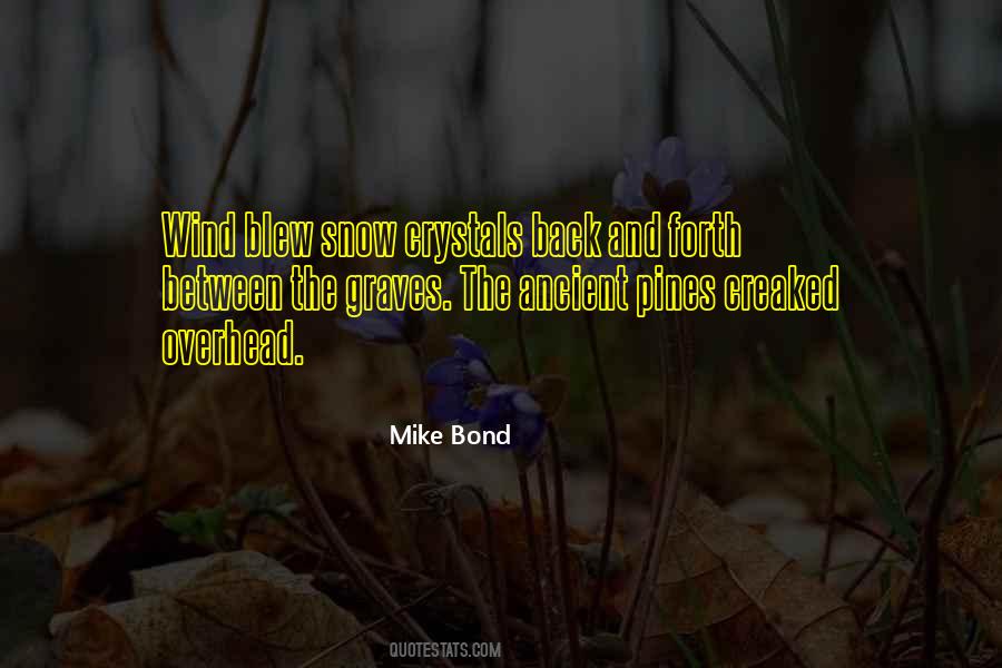 Snow In The Mountains Quotes #974096