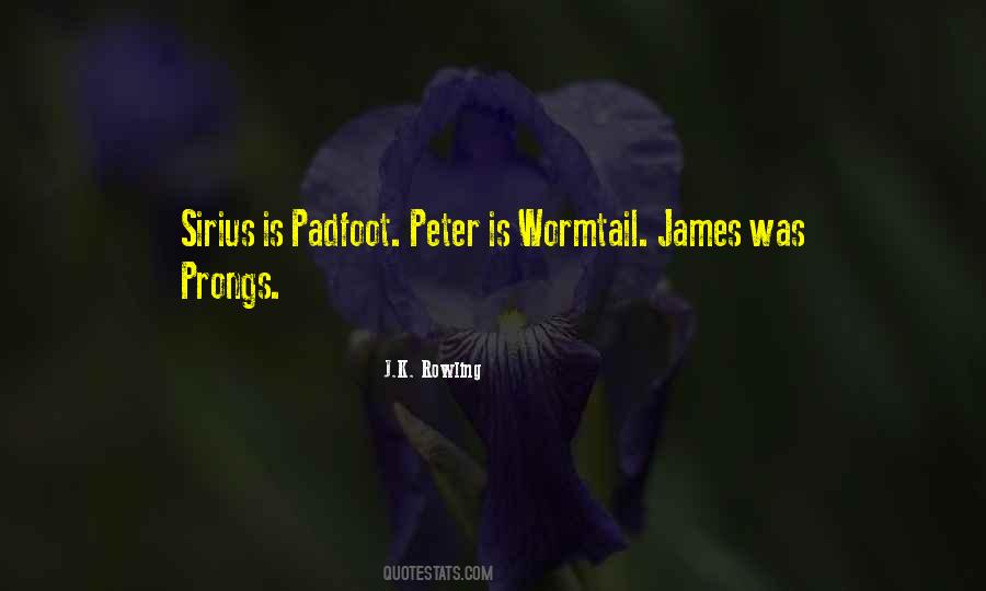 Buttke Thomas Quotes #1101125