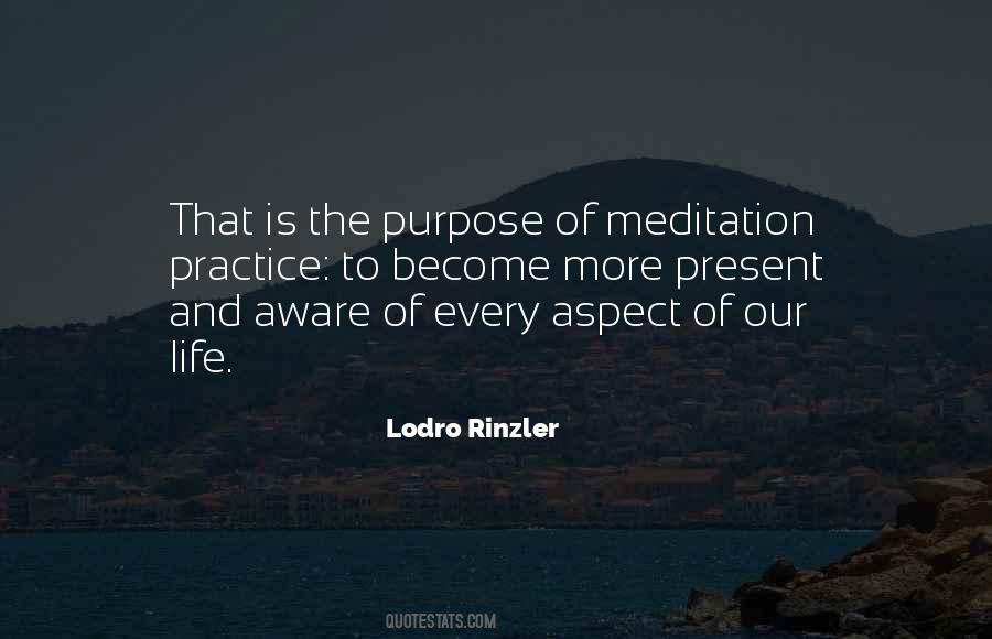 Meditation Practice Quotes #1124127