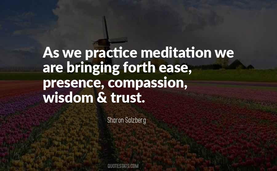 Meditation Practice Quotes #358757