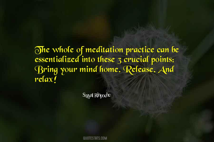 Meditation Practice Quotes #403404