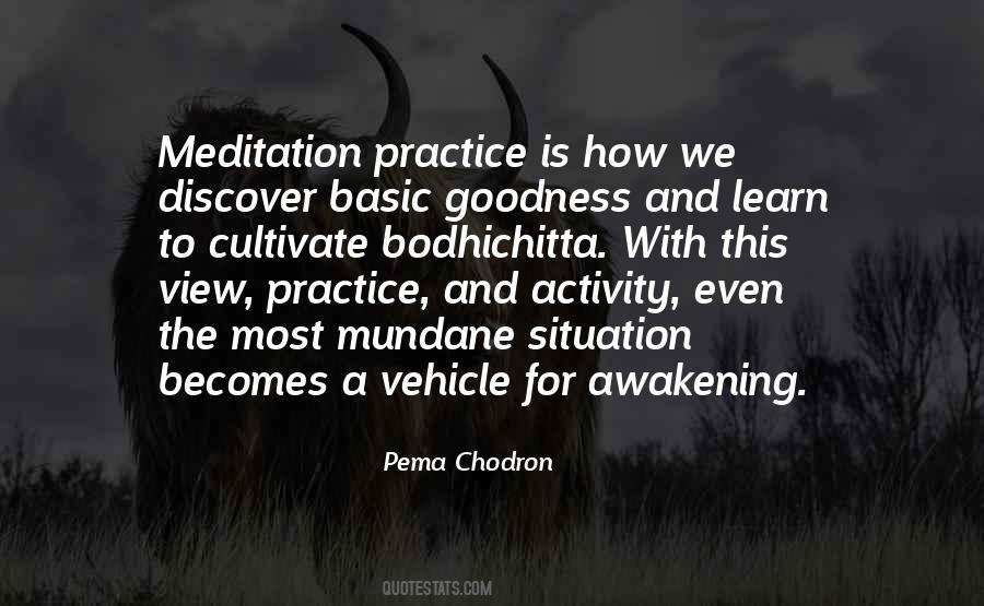 Meditation Practice Quotes #505761