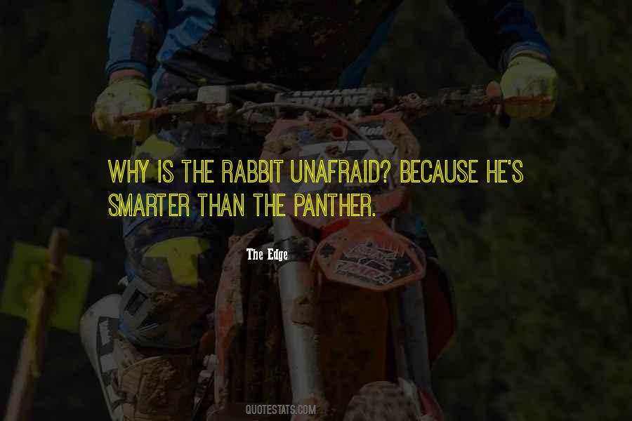 Quotes About The Panthers #1685793