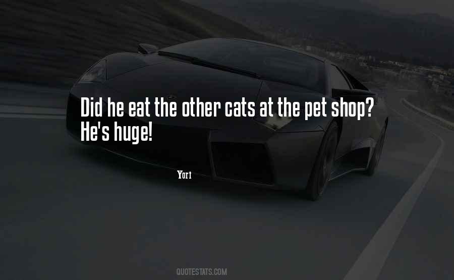 Cat Humor Quotes #319483
