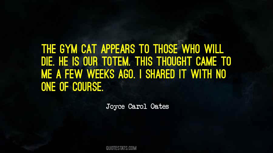 Cat Humor Quotes #376000