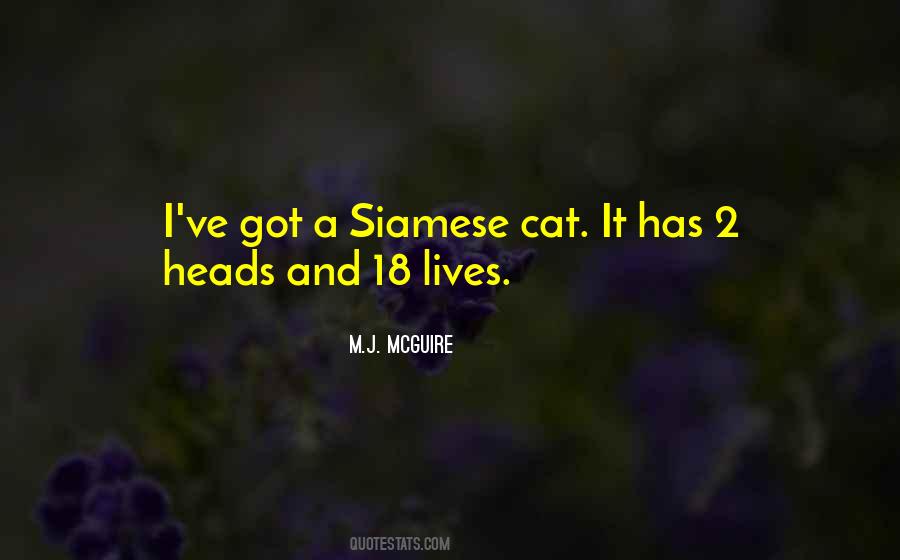 Cat Humor Quotes #466590