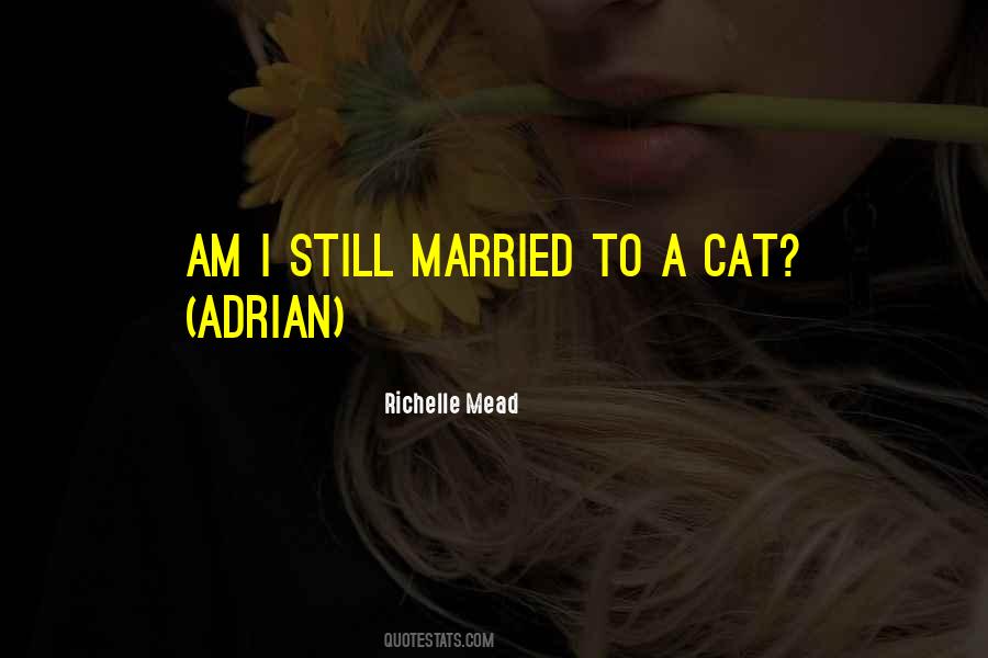 Cat Humor Quotes #569722