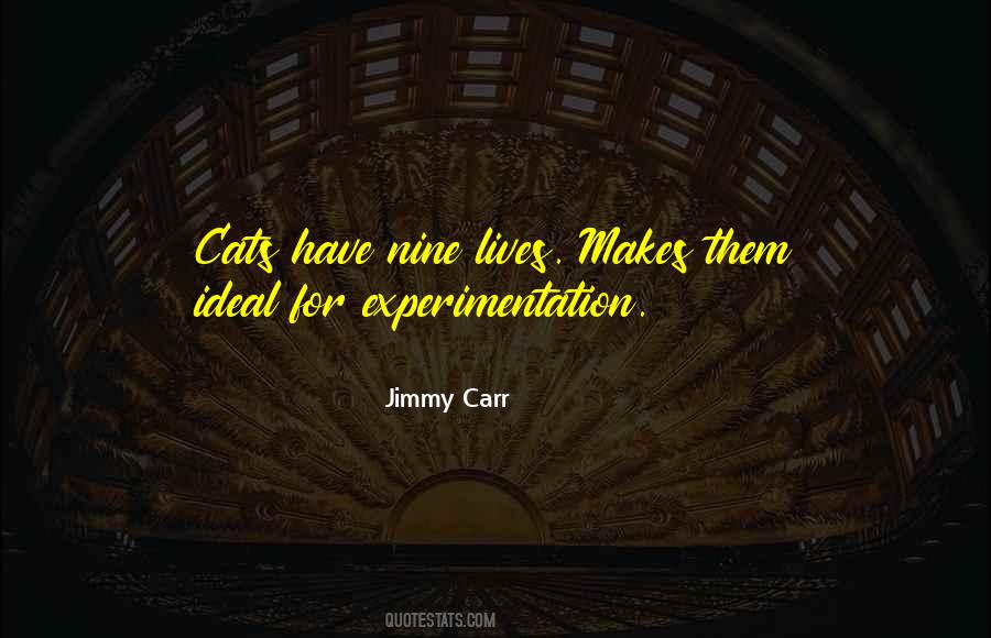 Cat Humor Quotes #651870