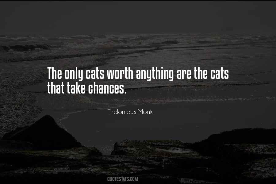Cat Humor Quotes #655977