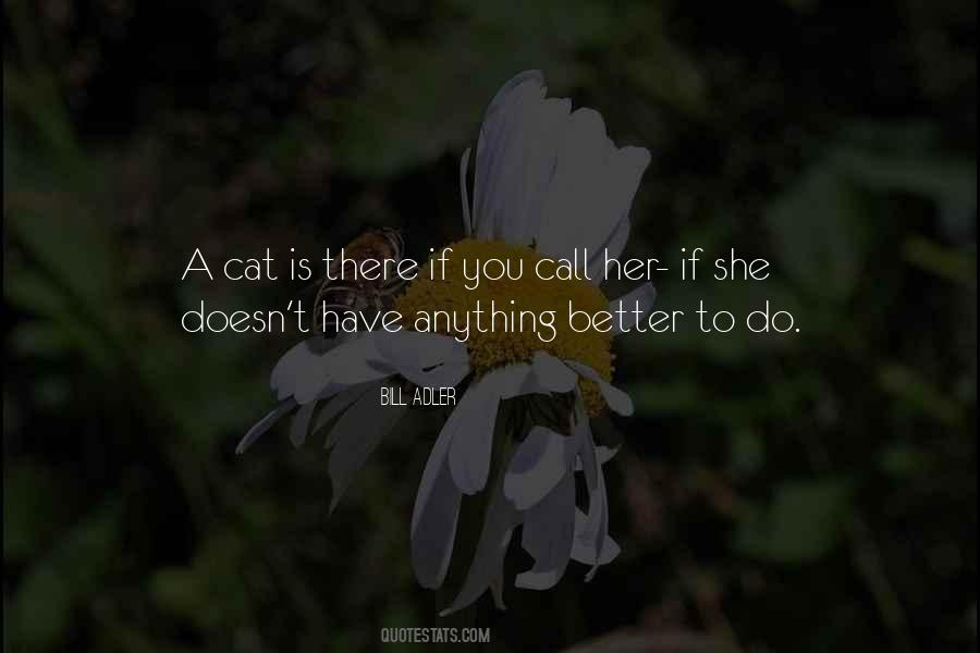 Cat Humor Quotes #742271