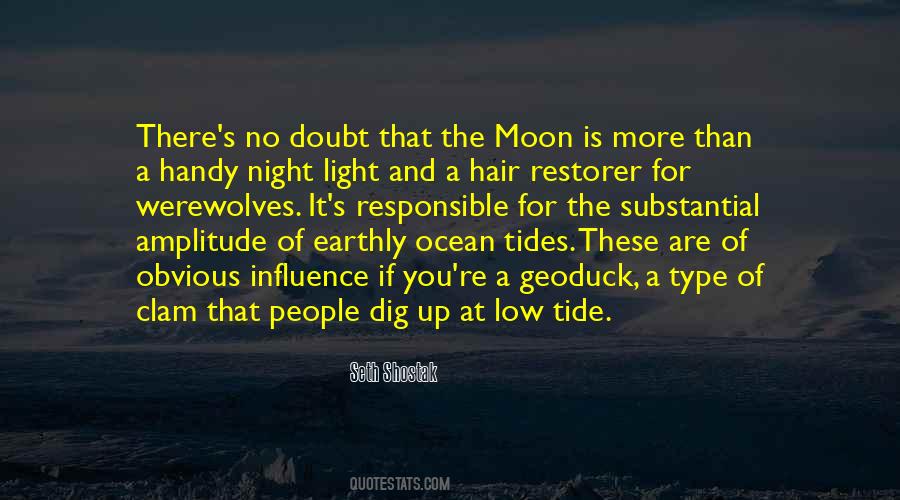 Moon And The Ocean Quotes #1039540