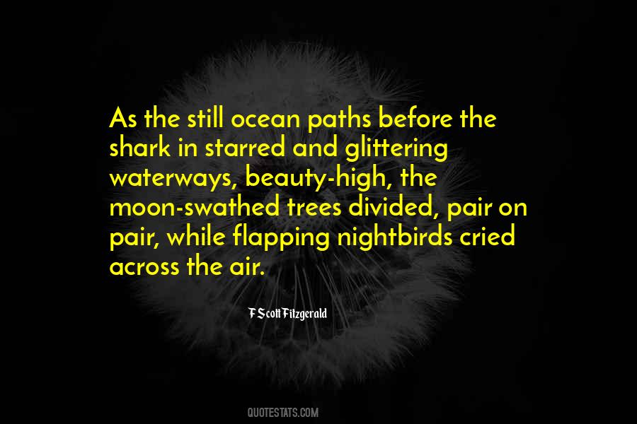 Moon And The Ocean Quotes #976406