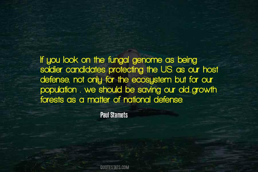 Franchitti Race Quotes #1299042