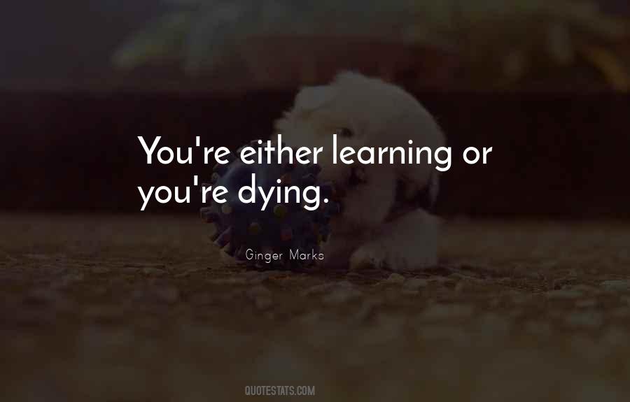 Bourelly Quotes #531176