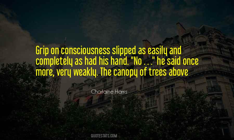 Under The Canopy Quotes #133287
