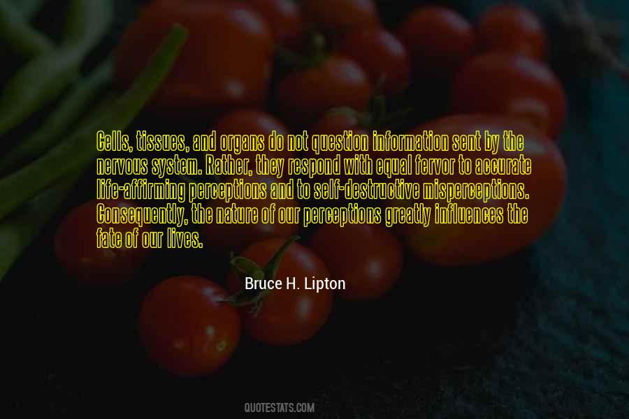 Misperceptions Of Others Quotes #1192564