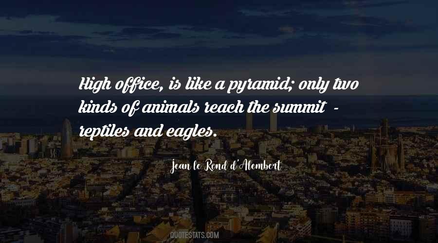 D Alembert Quotes #1335533